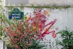 StreetArt_CG__WXY7662 corinne.jpg