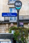 Végétalisation_CG__L7A5819 copie corinne g copie.jpg