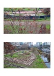 Parcs_Taraneh_045-1.jpg