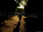 Tuileries_Stéphane-027.jpg