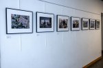Exposition V Tinayre 10.jpg